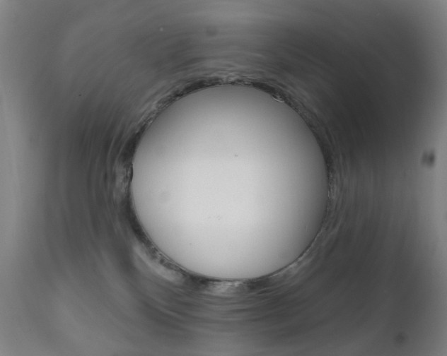 X0000111050136200906251129