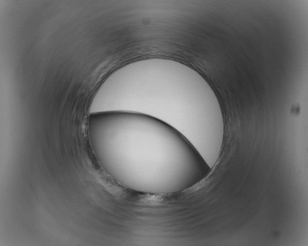 X0000111050140200906251129