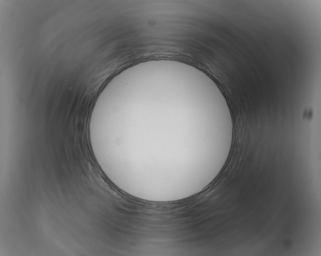 X0000111050141200906251129