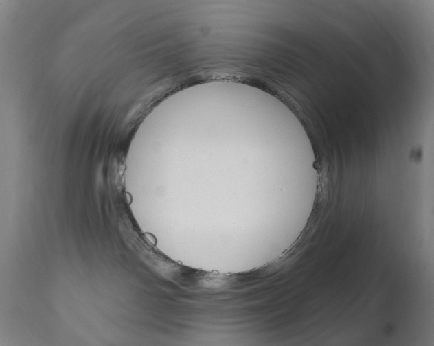 X0000111050142200906251129