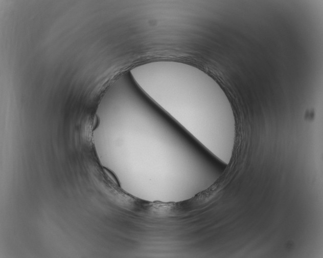 X0000111050143200906251129
