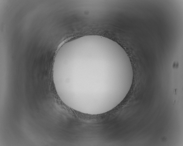 X0000111050144200906251129