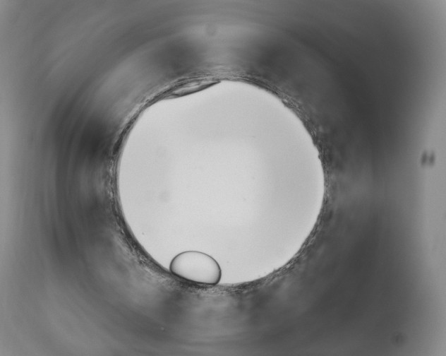 X0000111050146200906251128