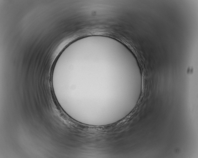 X0000111050147200906251128