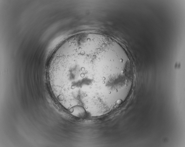 X0000111050149200906251128