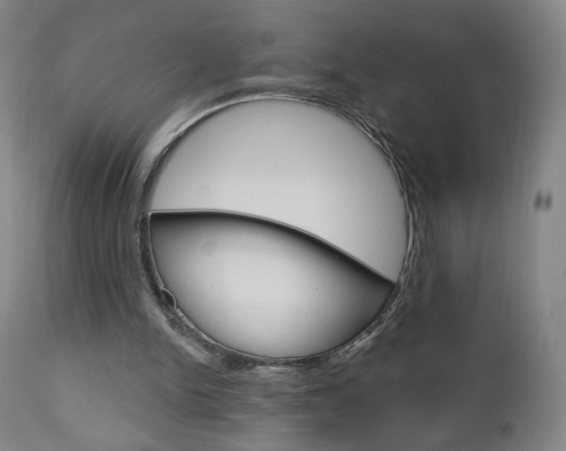 X0000111050150200906251128