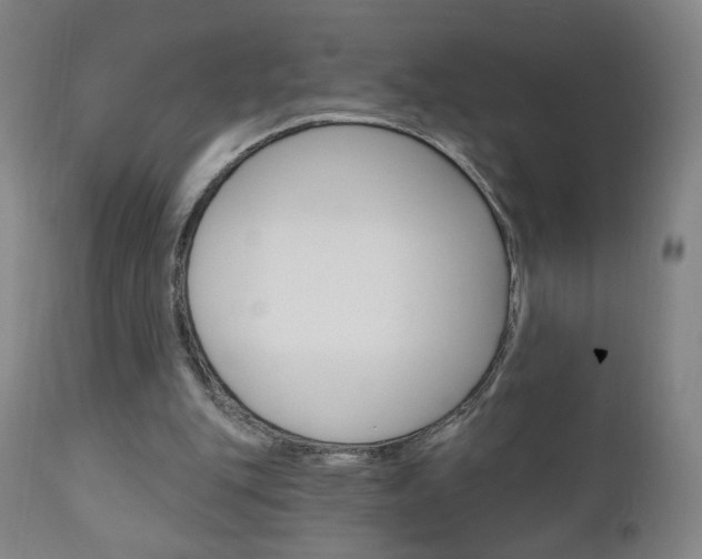 X0000111050151200906251128