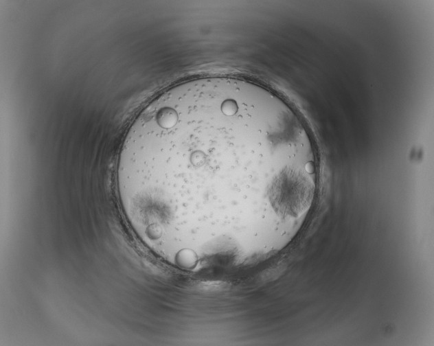 X0000111050153200906251128