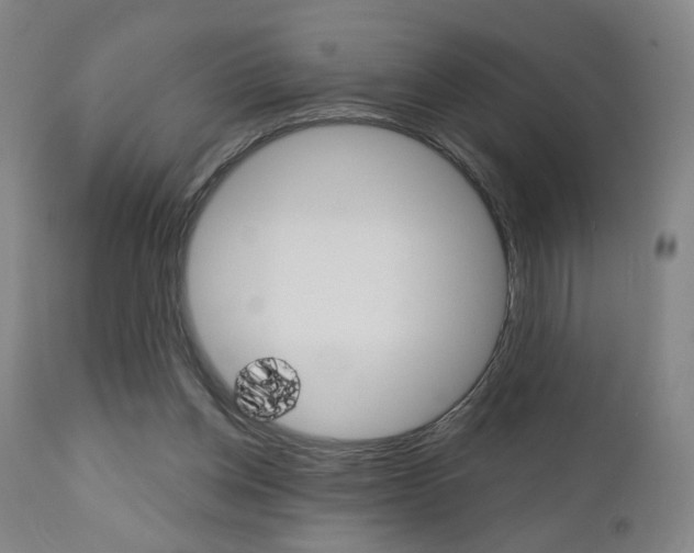 X0000111050158200906251128