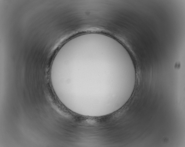 X0000111050159200906251128