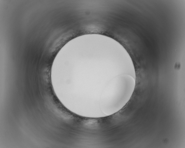 X0000111050162200906251128