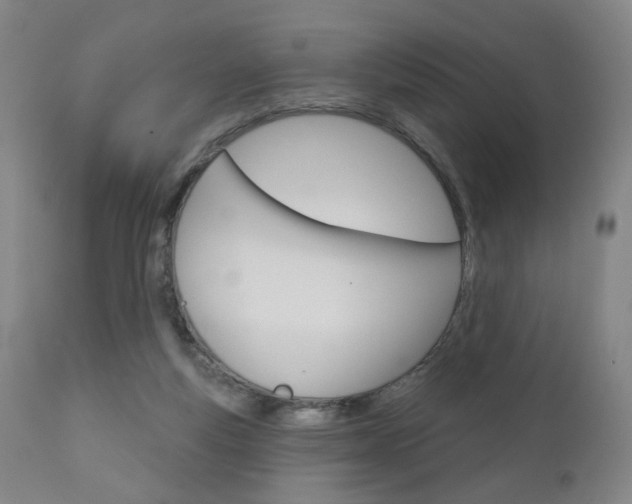 X0000111050163200906251128
