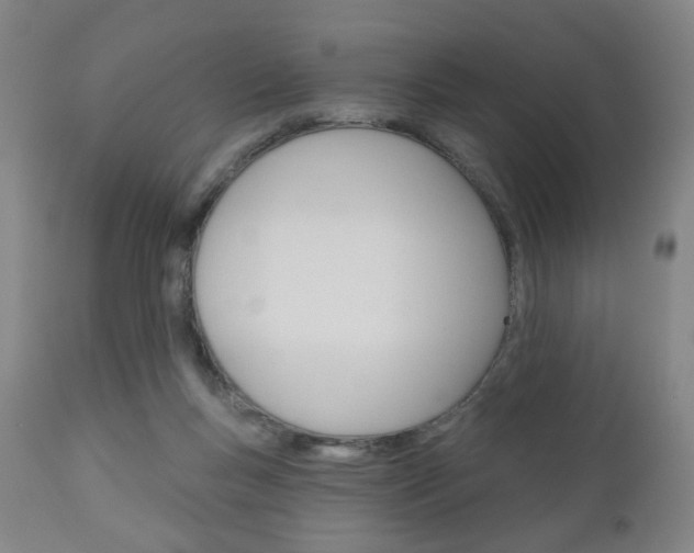 X0000111050167200906251128