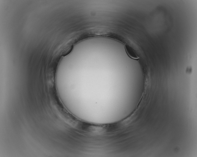 X0000111050170200906251128