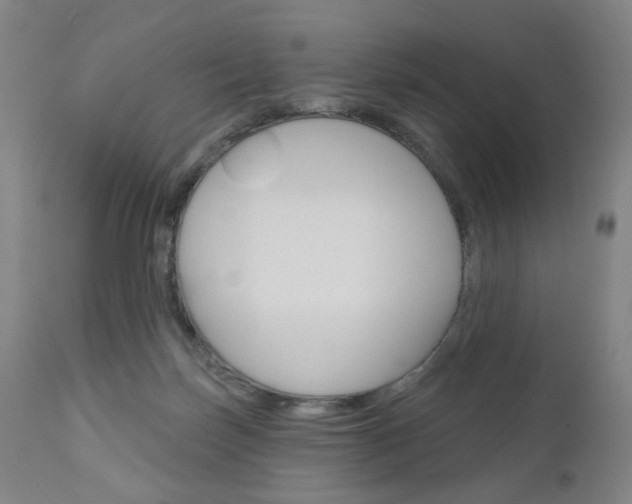 X0000111050171200906251128