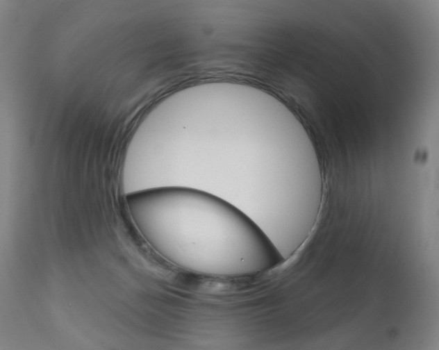 X0000111050174200906251128