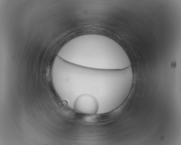 X0000111050178200906251128