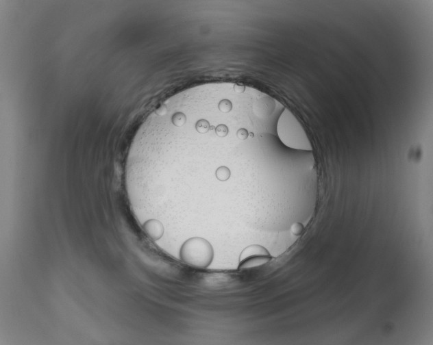 X0000111050183200906251128