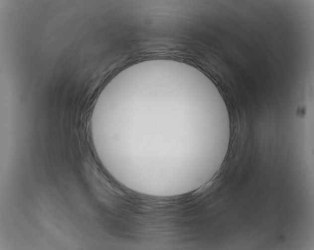 X0000111050184200906251128
