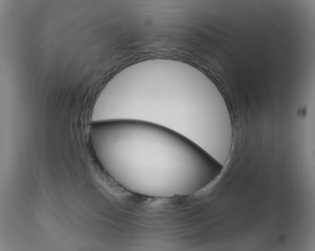 X0000111050186200906251129
