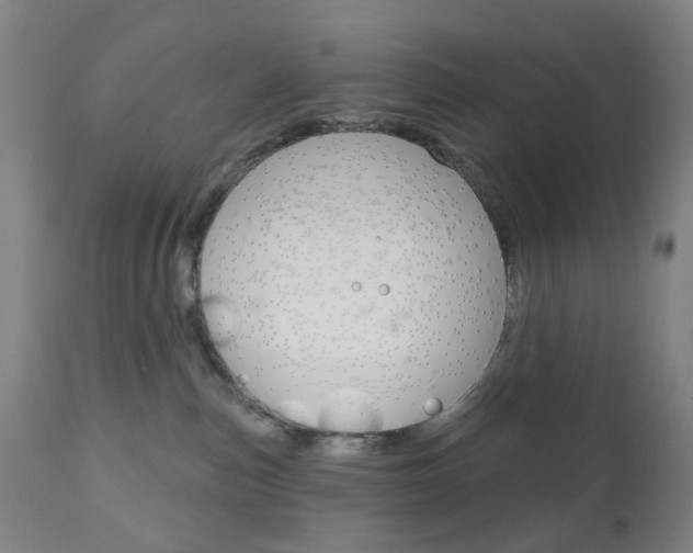 X0000111050187200906251129