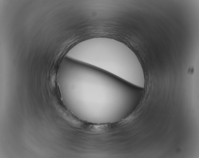 X0000111050188200906251129