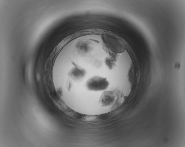 X0000111050189200906251129