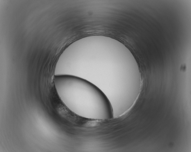 X0000111050190200906251129