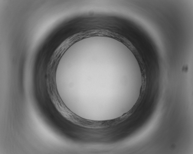 X0000111050191200906251129