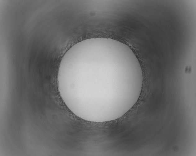 X0000111050192200906251129