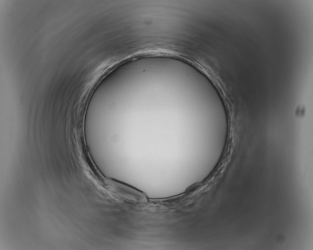 X0000111050193200906251128