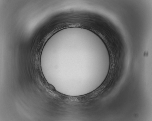 X0000111050194200906251128