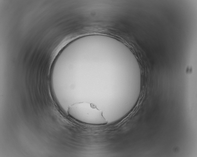 X0000111050195200906251128