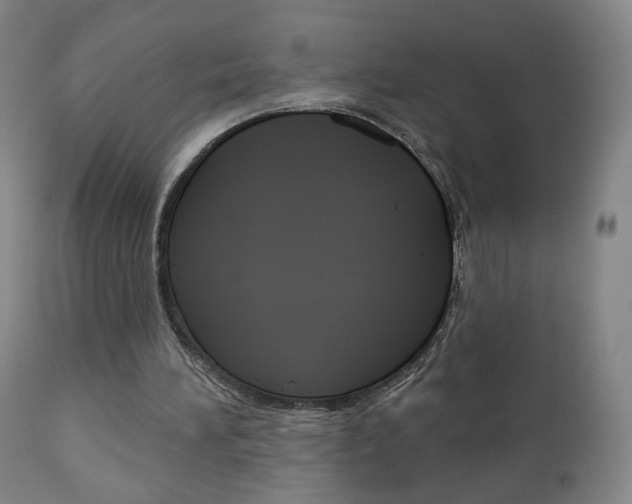 X0000111050196200906251128