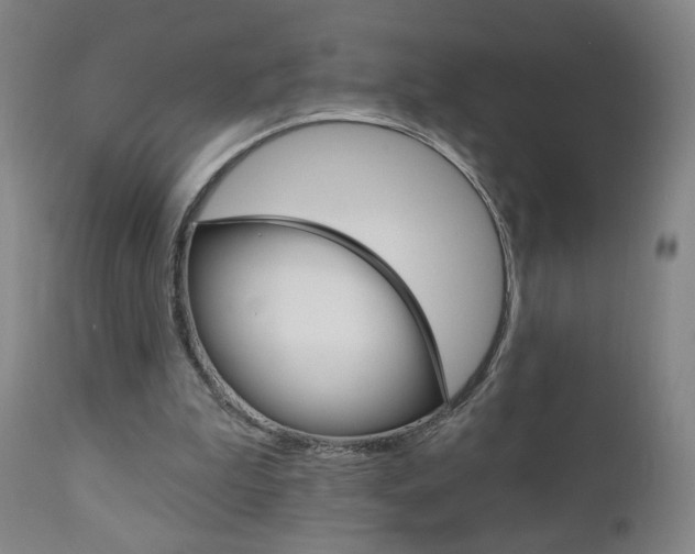 X0000111050199200906251128