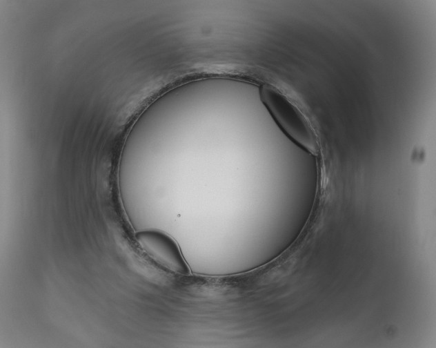 X0000111050201200906251128