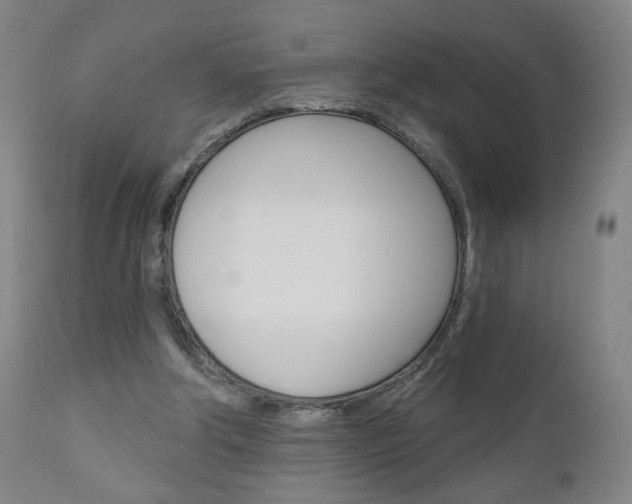 X0000111050202200906251128