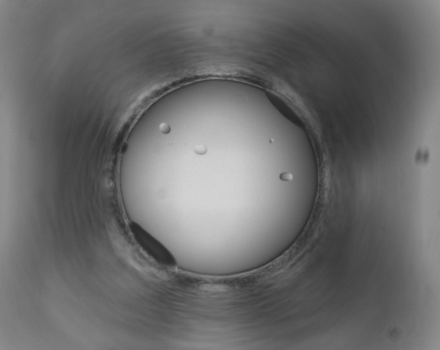 X0000111050203200906251128