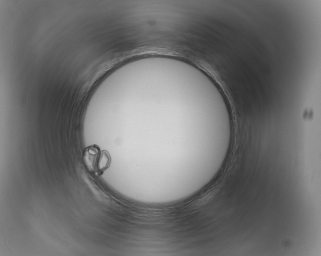 X0000111050205200906251128