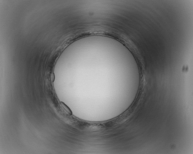 X0000111050209200906251128