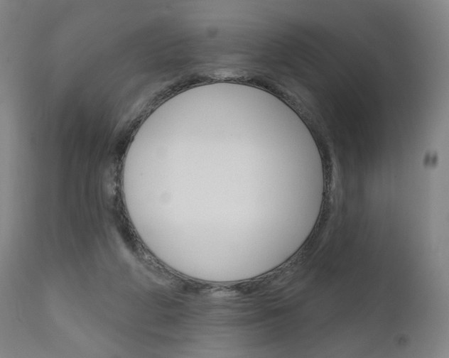 X0000111050210200906251128