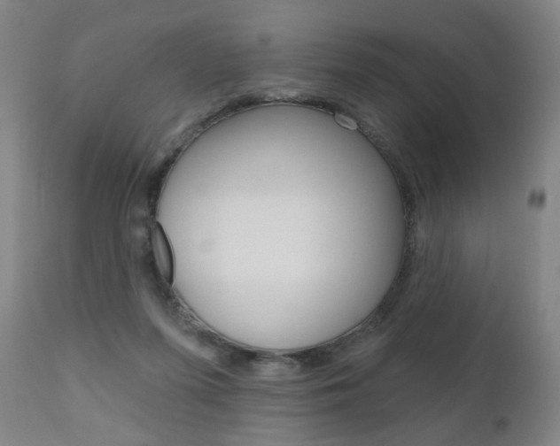 X0000111050215200906251127