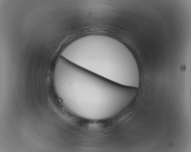X0000111050216200906251127