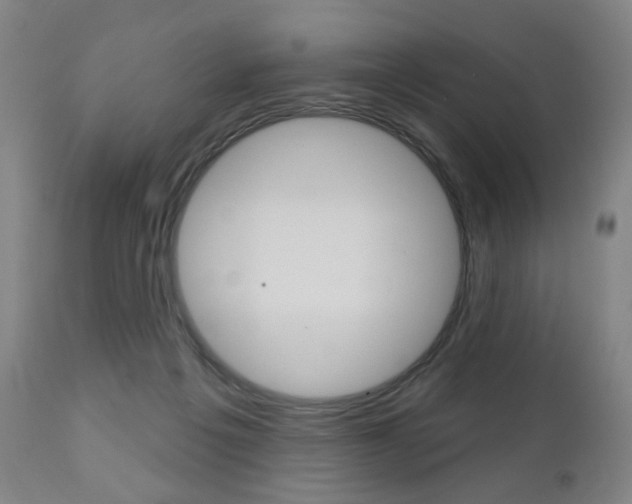 X0000111050217200906251127
