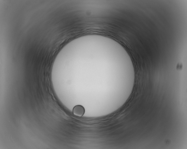 X0000111050219200906251127