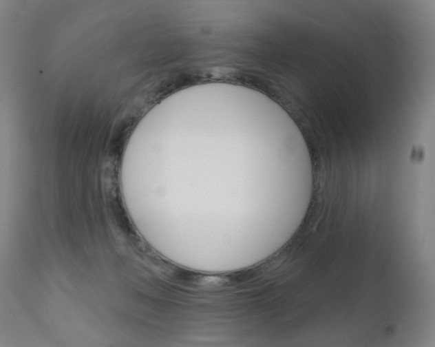 X0000111050222200906251127
