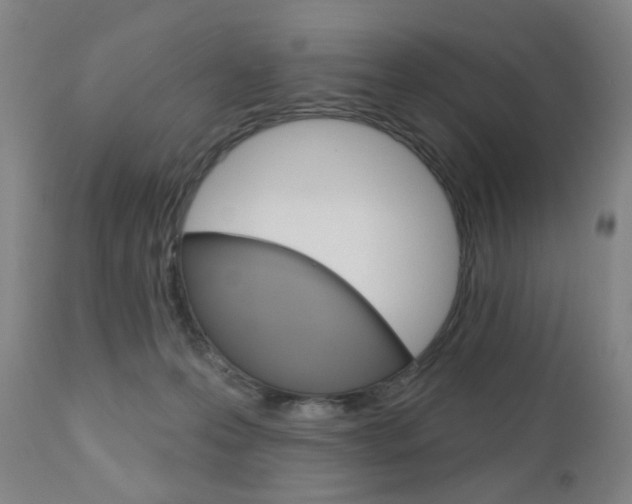 X0000111050223200906251127