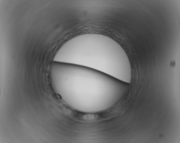 X0000111050225200906251127