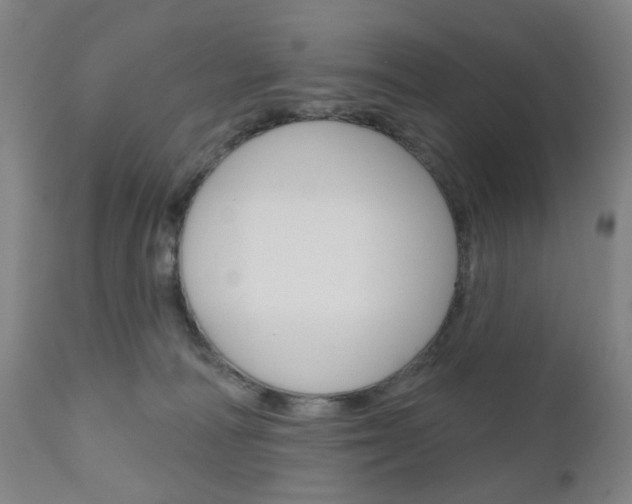 X0000111050226200906251127