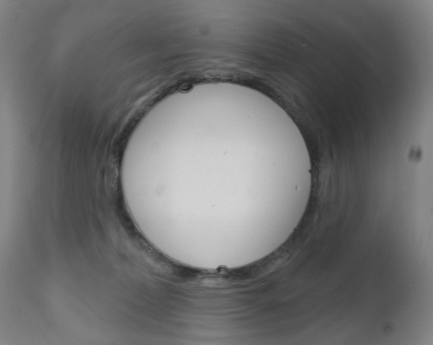 X0000111050228200906251127